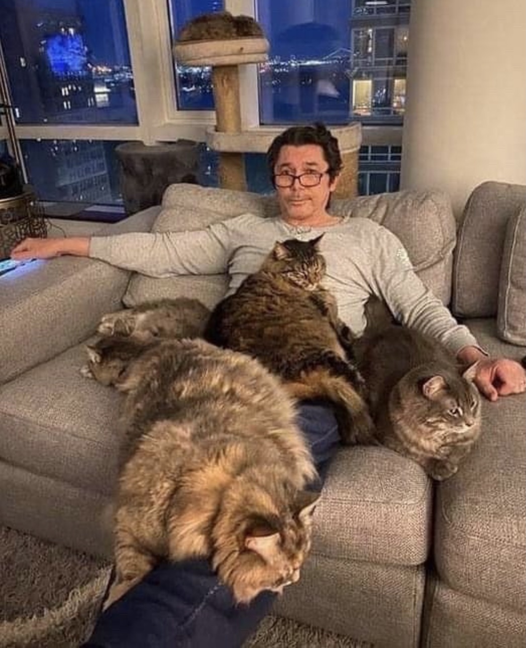 Relaxing with his Maine Coons on a cozy Caturday