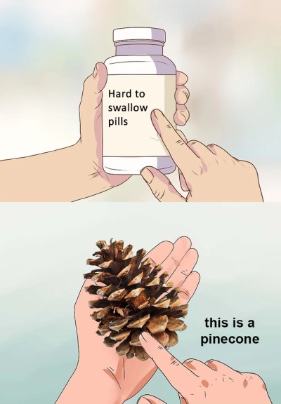Is This Really Team Pinecone?