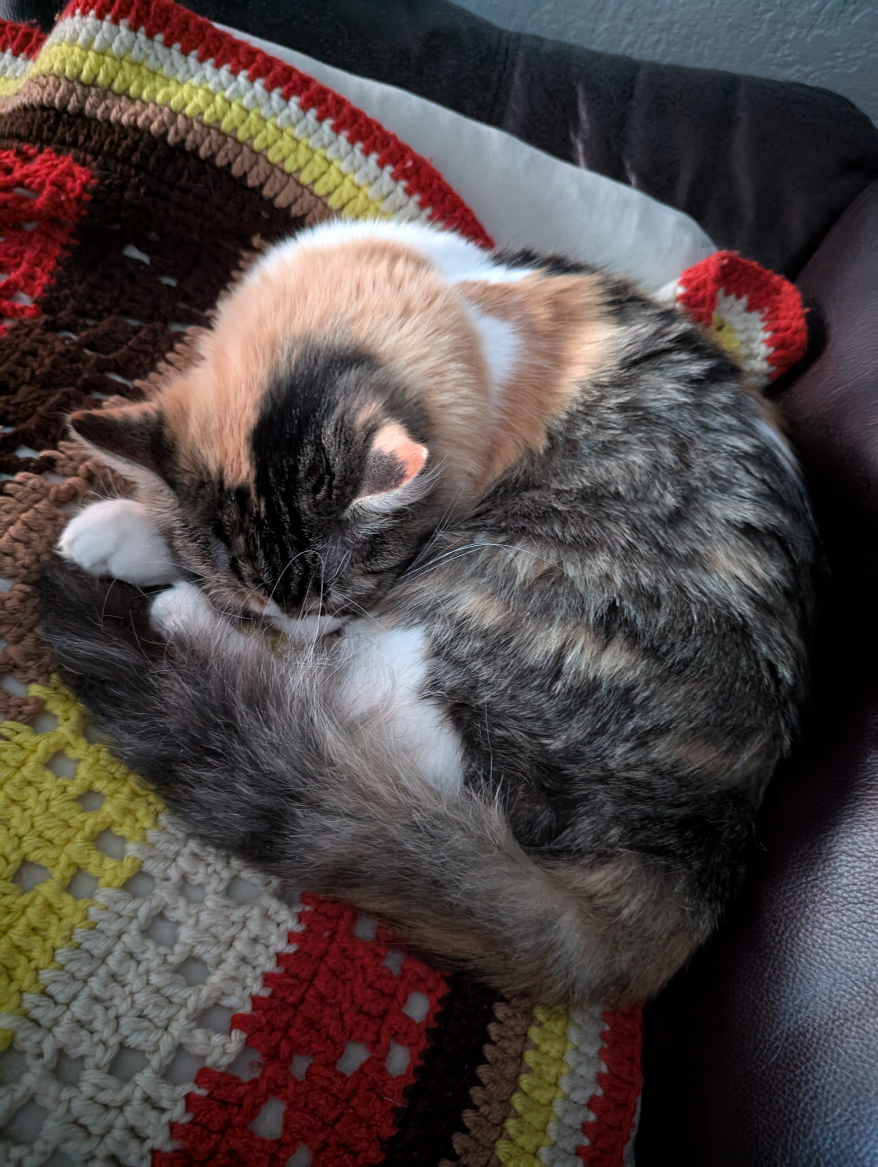 The Power of a Tail