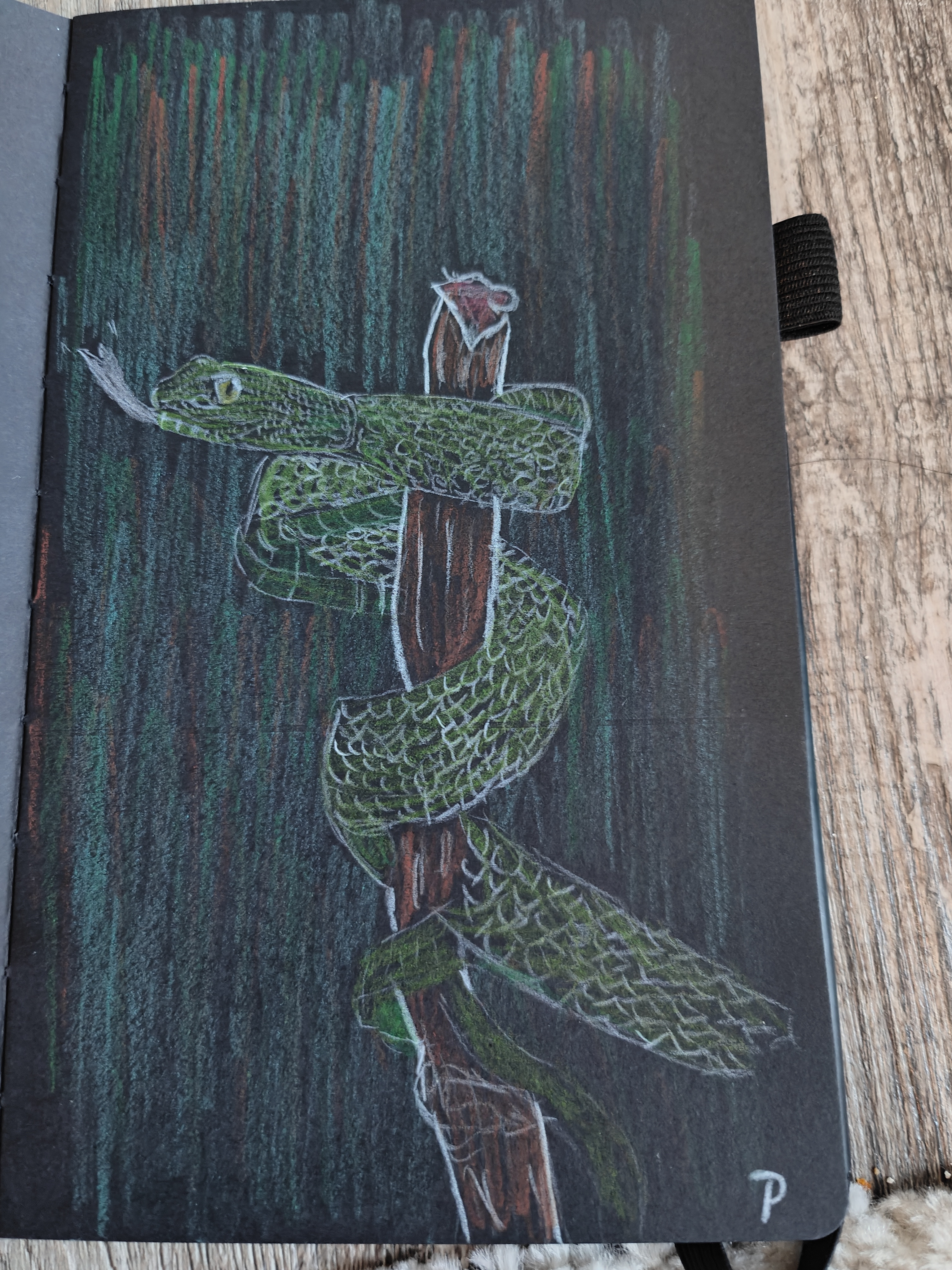 The Mysterious Snake