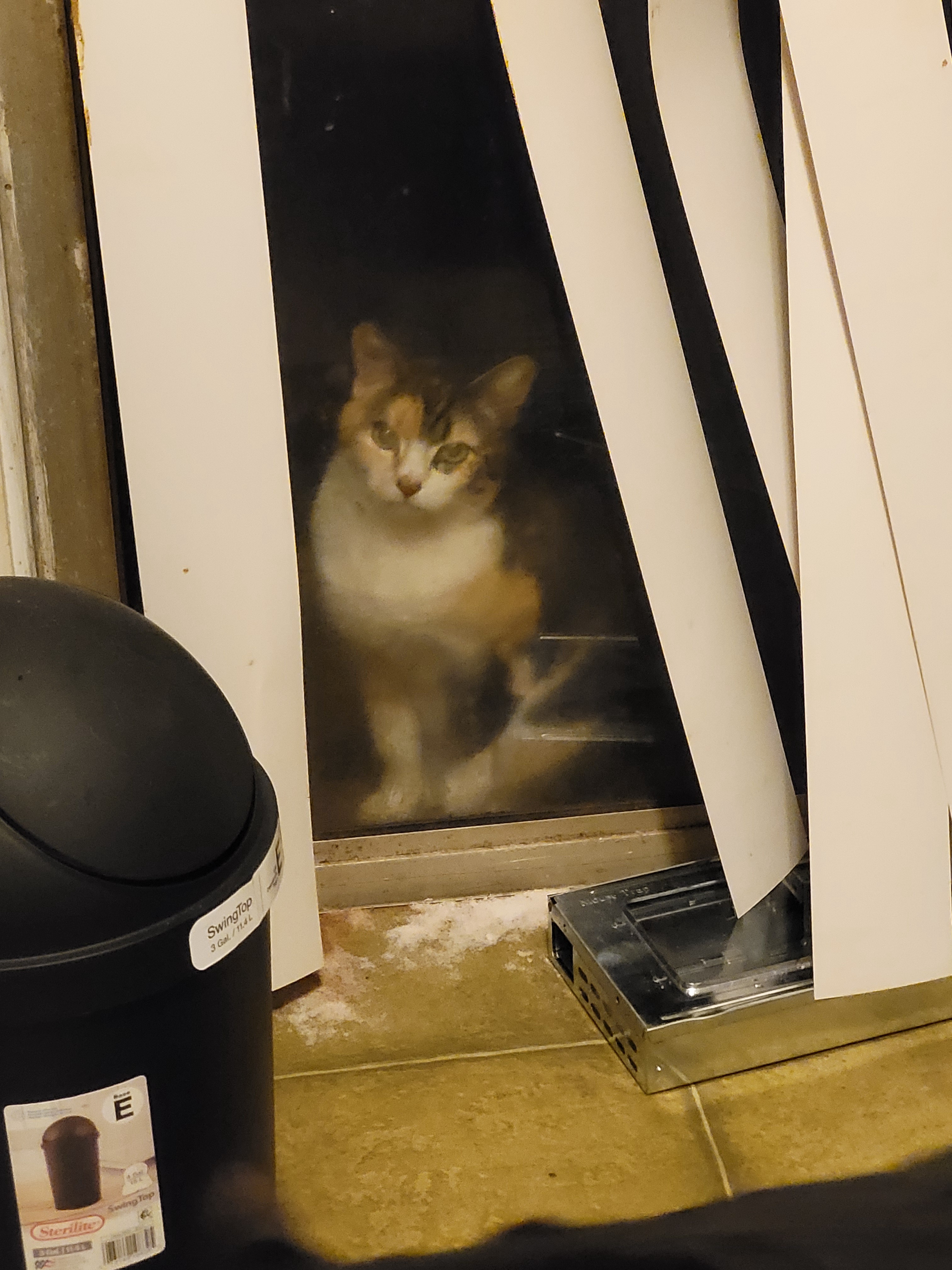 Here's my adorable contribution!