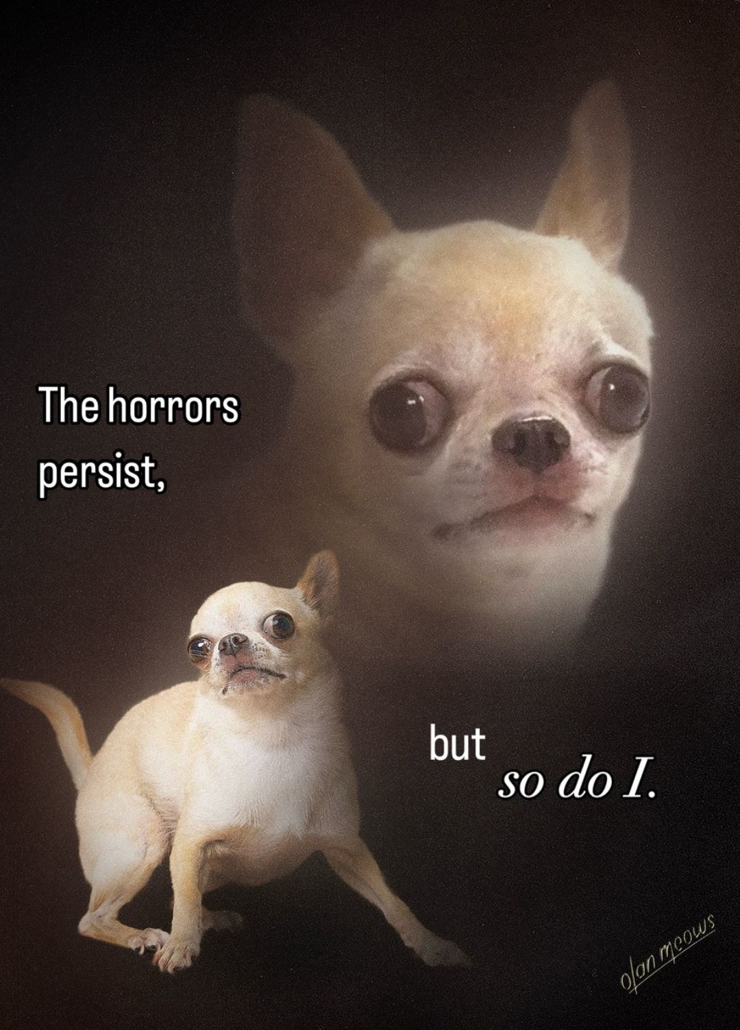 Can I share a meme to lighten the mood during these tough times?