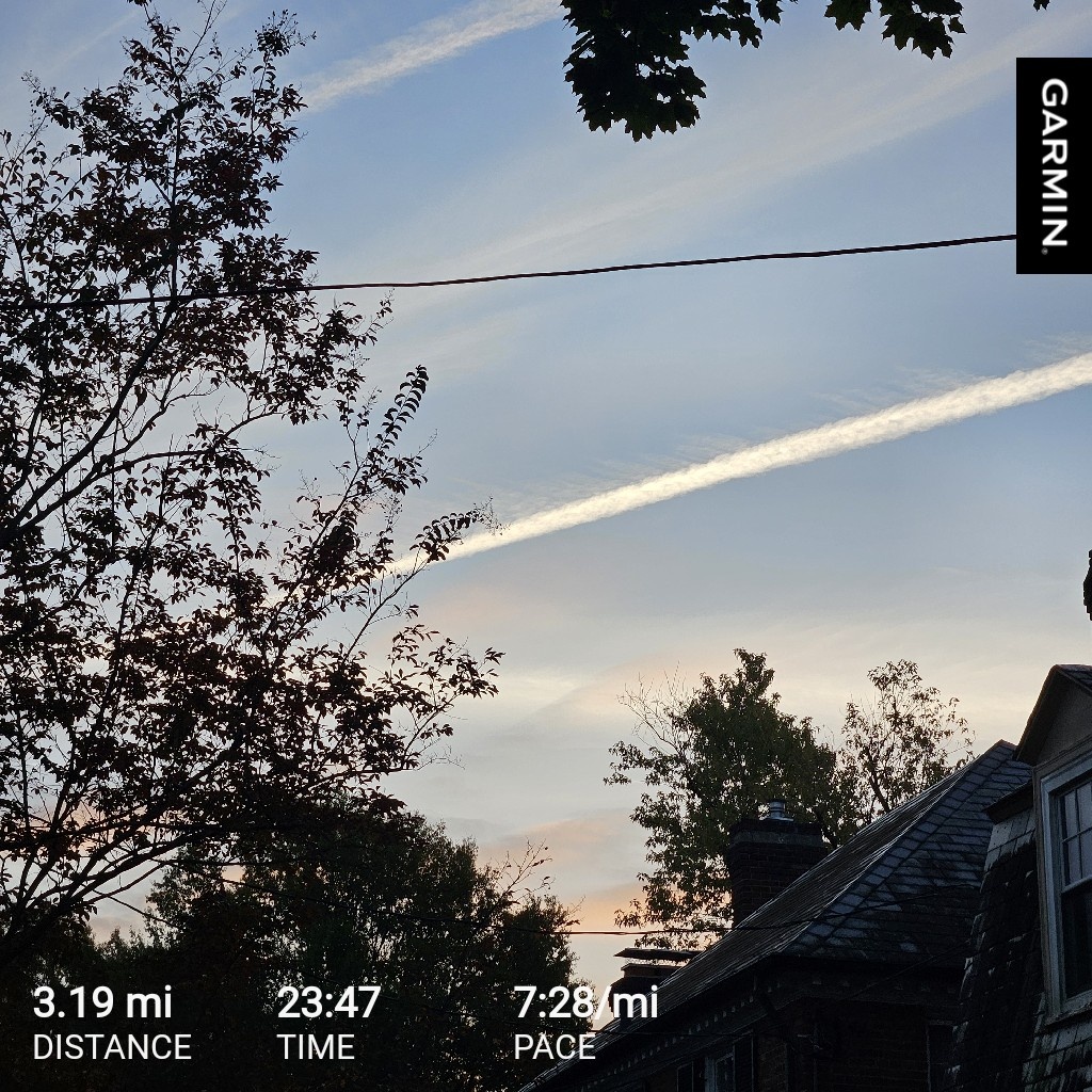 The Daily Run: Keeping Fit and Motivated
