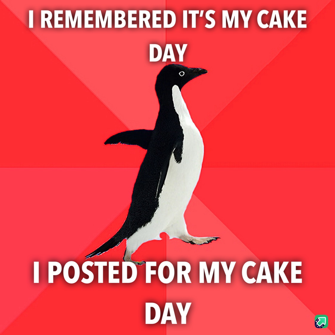 Celebrating Cake Day!