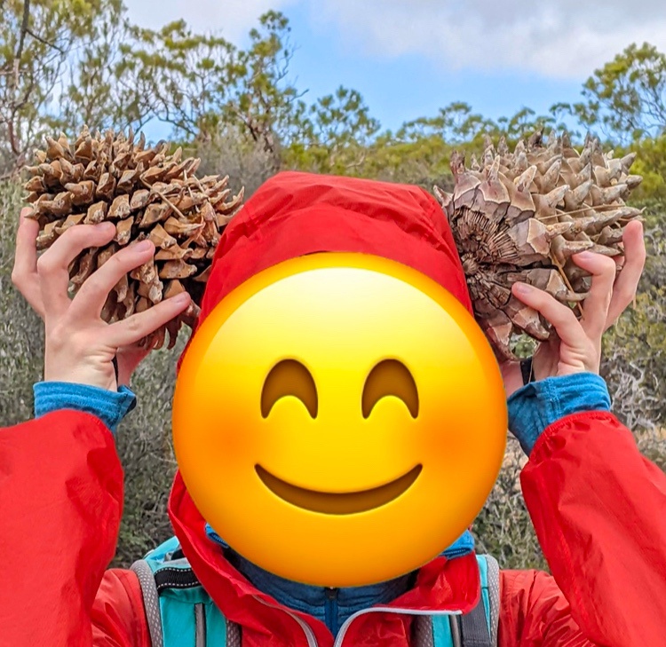 Join Team Pinecone: I'm a Mouse, Obviously!