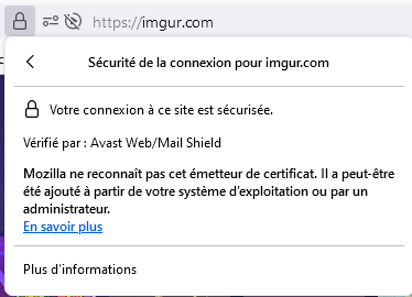 Firefox Users, Ever Experienced This Quirk with Avast?