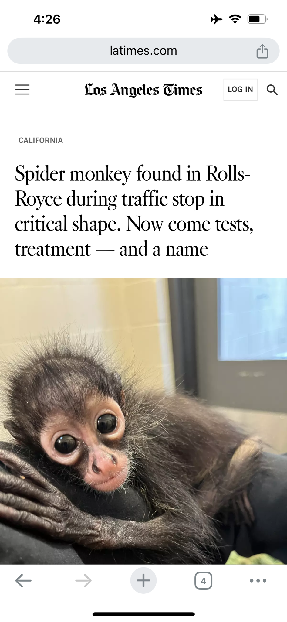 I had no clue what the next word in the headline would be at any moment