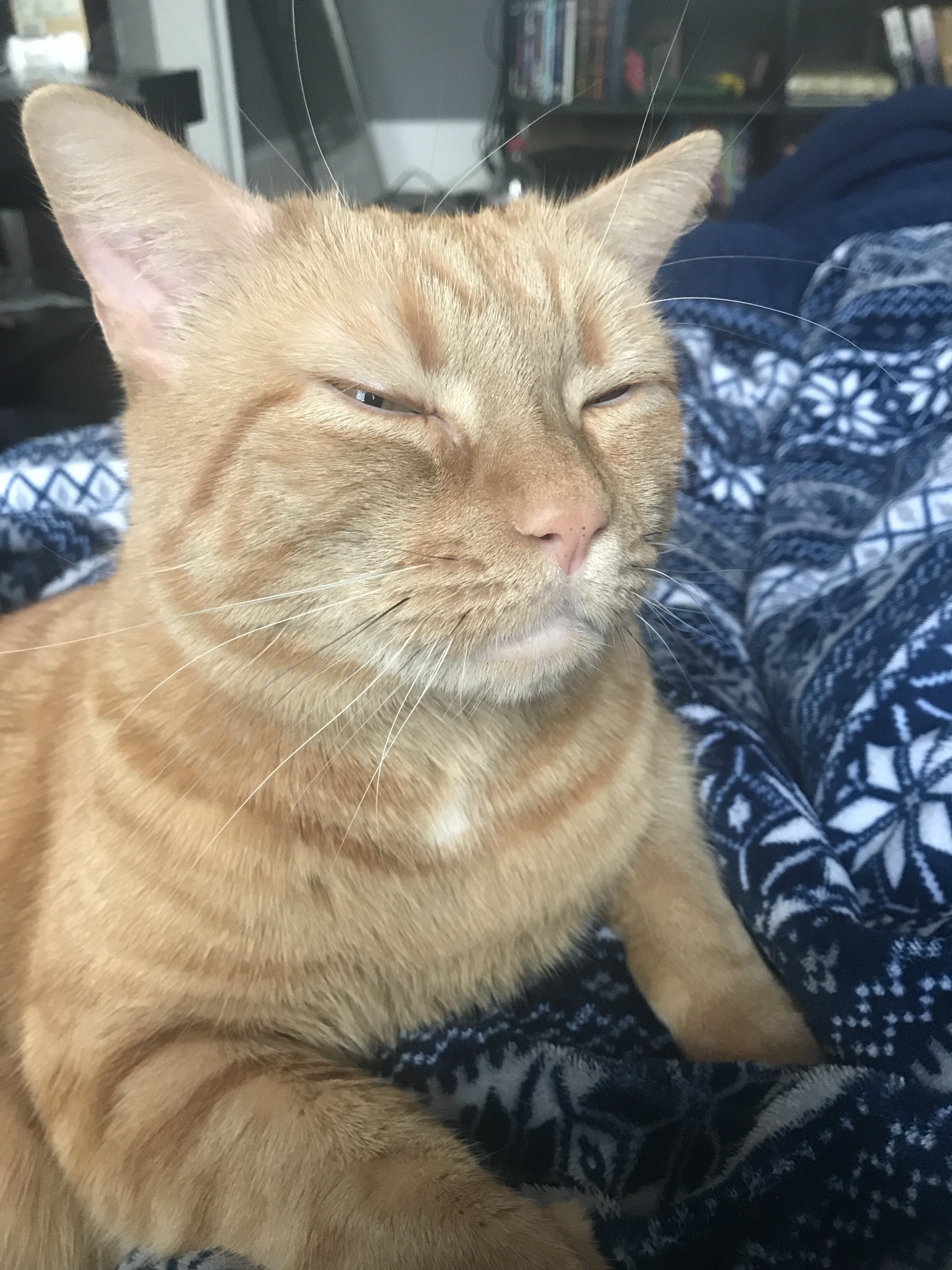 Looking incredibly handsome today!