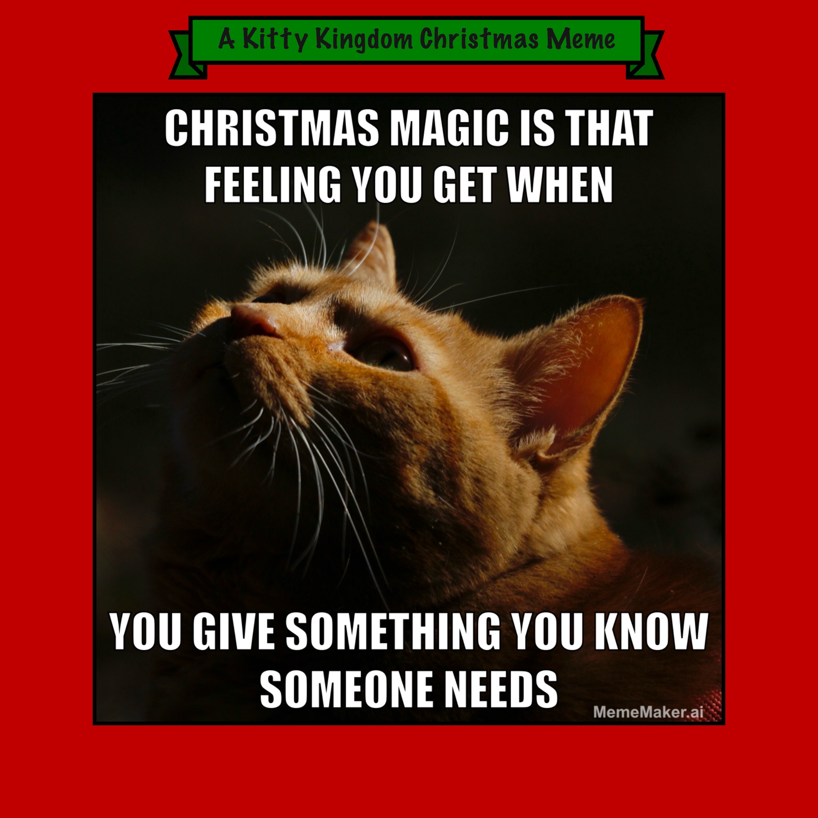 Counting down to Christmas with the Kitty Kingdom—#14 is here!