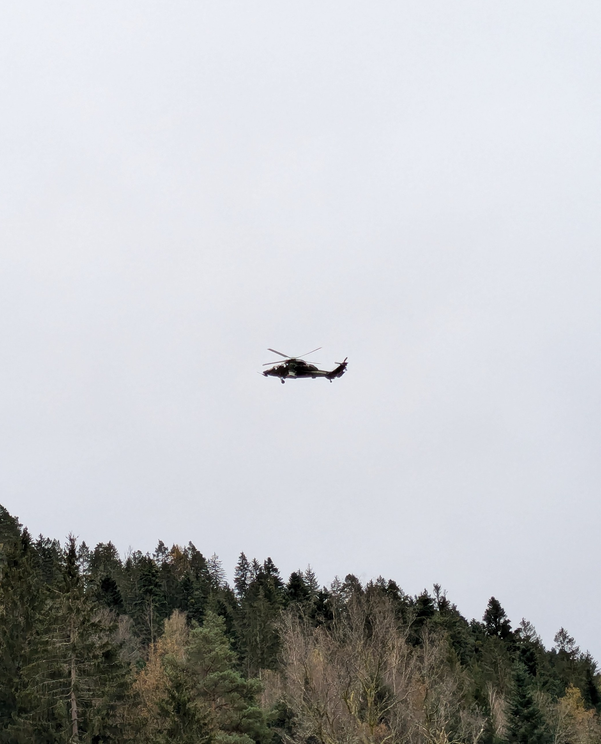 A Stunningly Beautiful Bird Captured in Time
