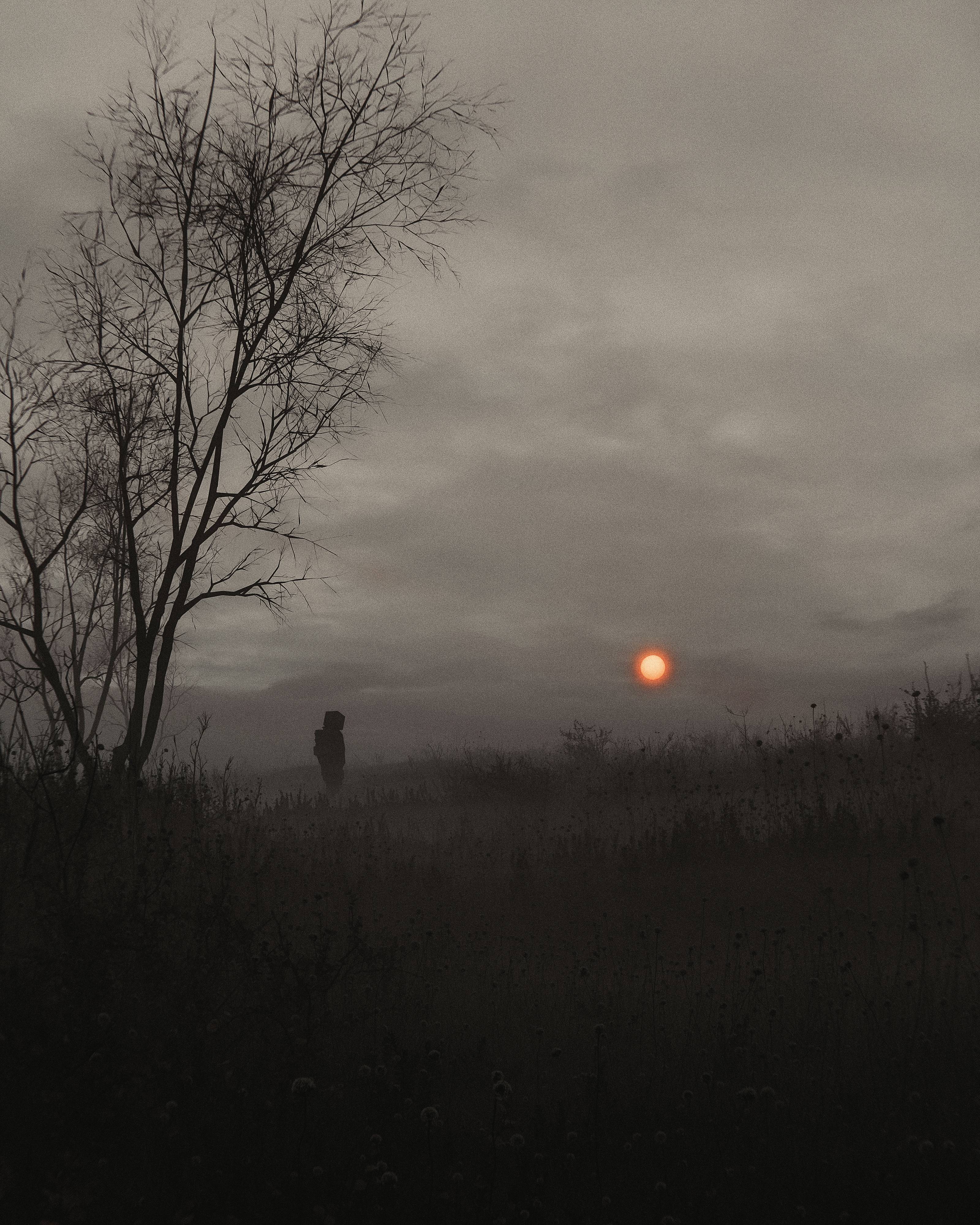 Silent Dawn: A Beautiful Piece by Huleeb