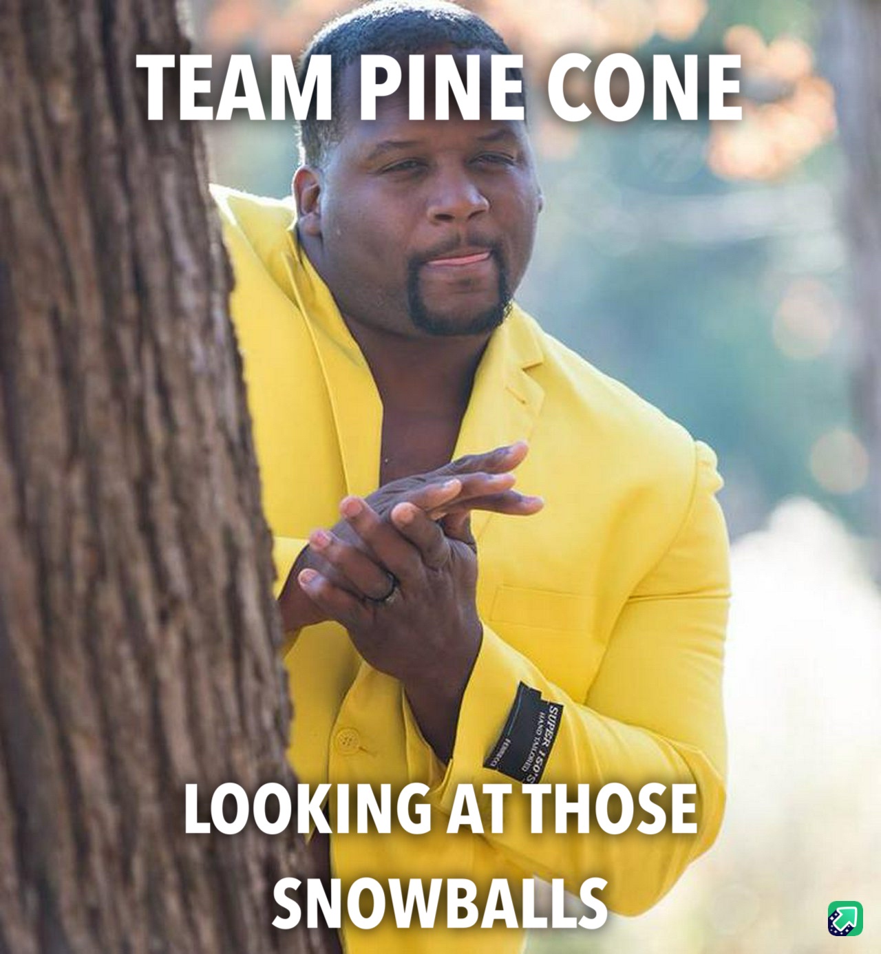 Check out those cones and snowballs!