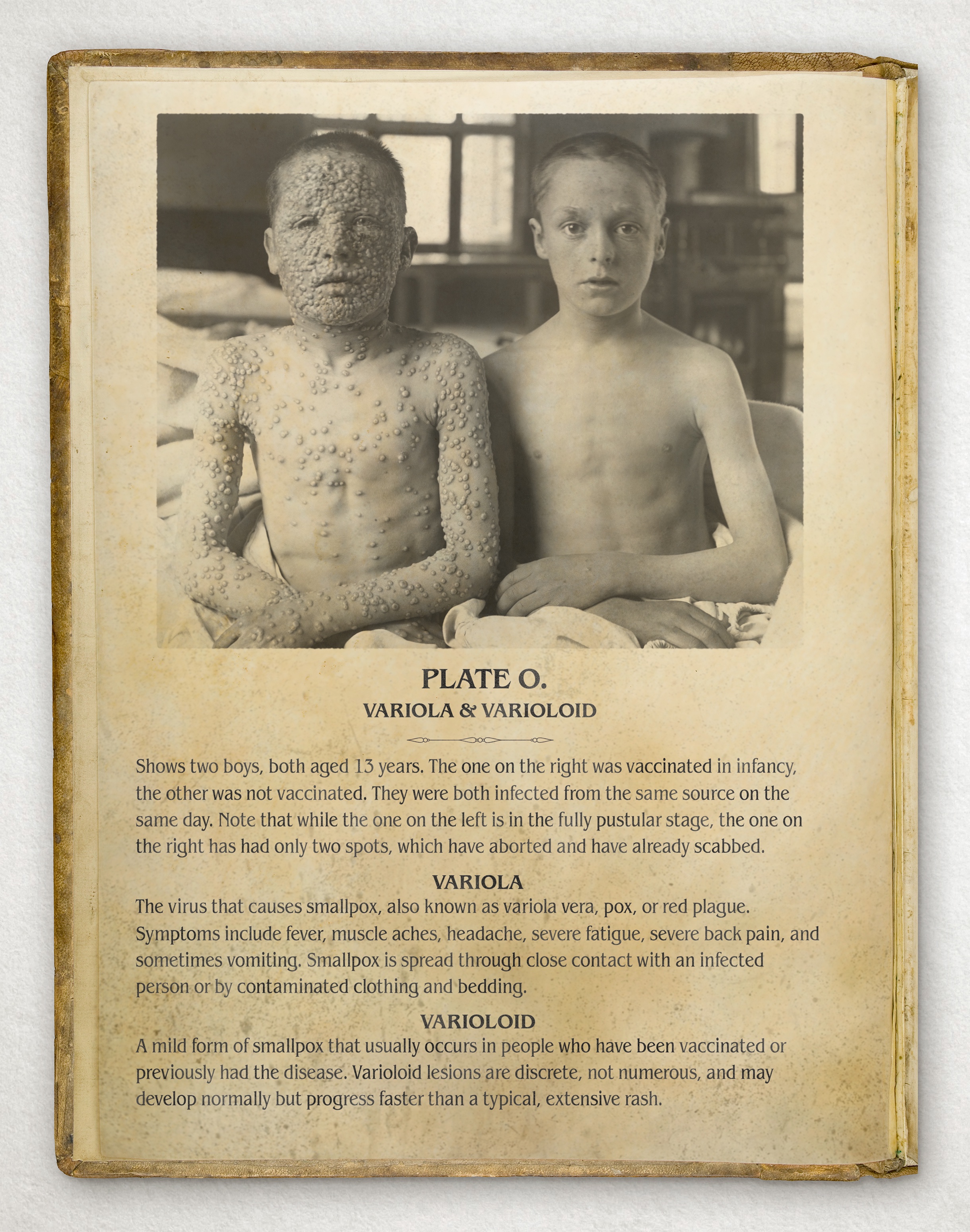 A Crucial Reminder About the Importance of Vaccines
