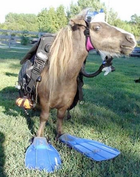 Check Out My Spooktacular Halloween Costume!