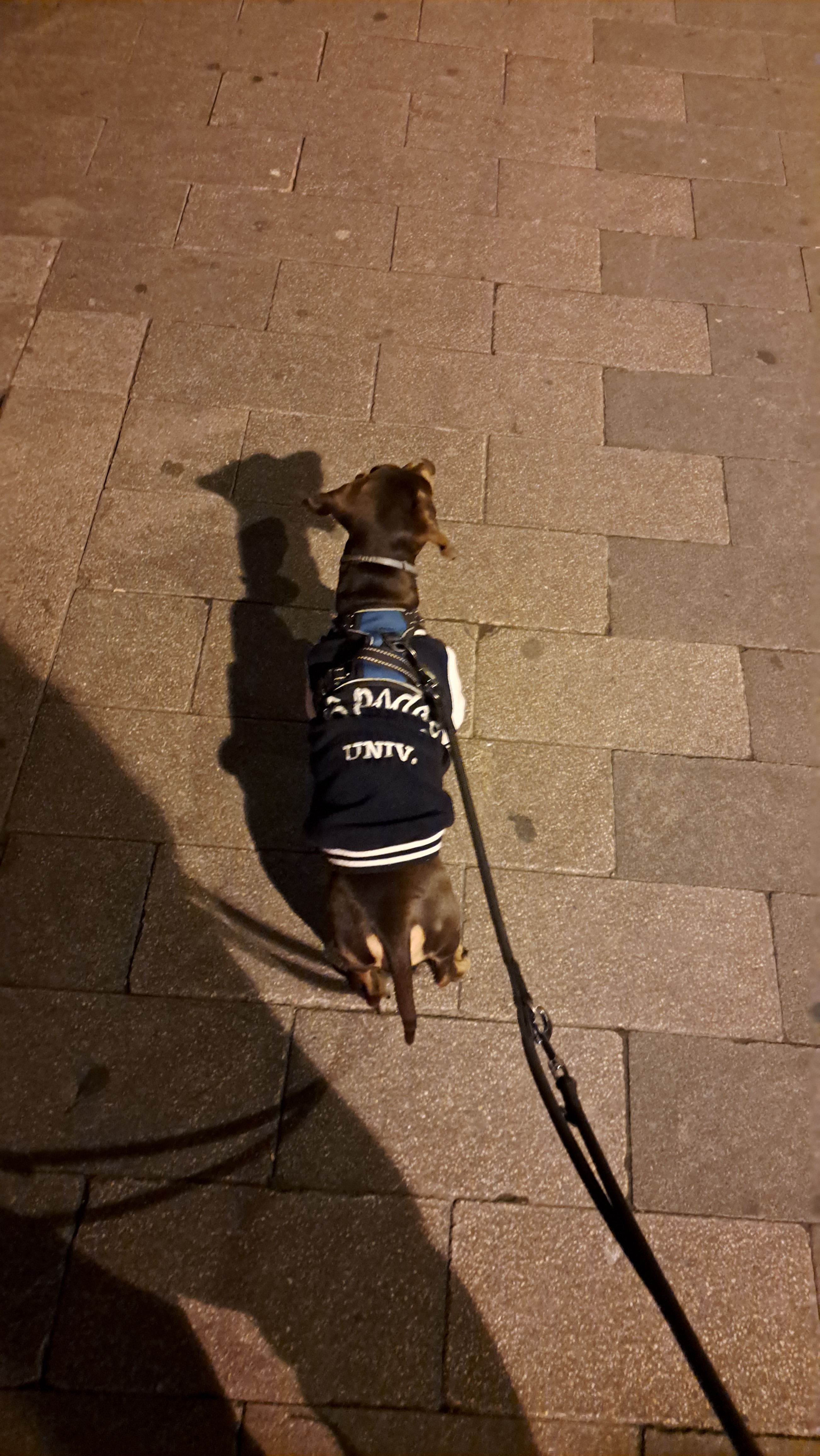 It's officially winter jacket season!