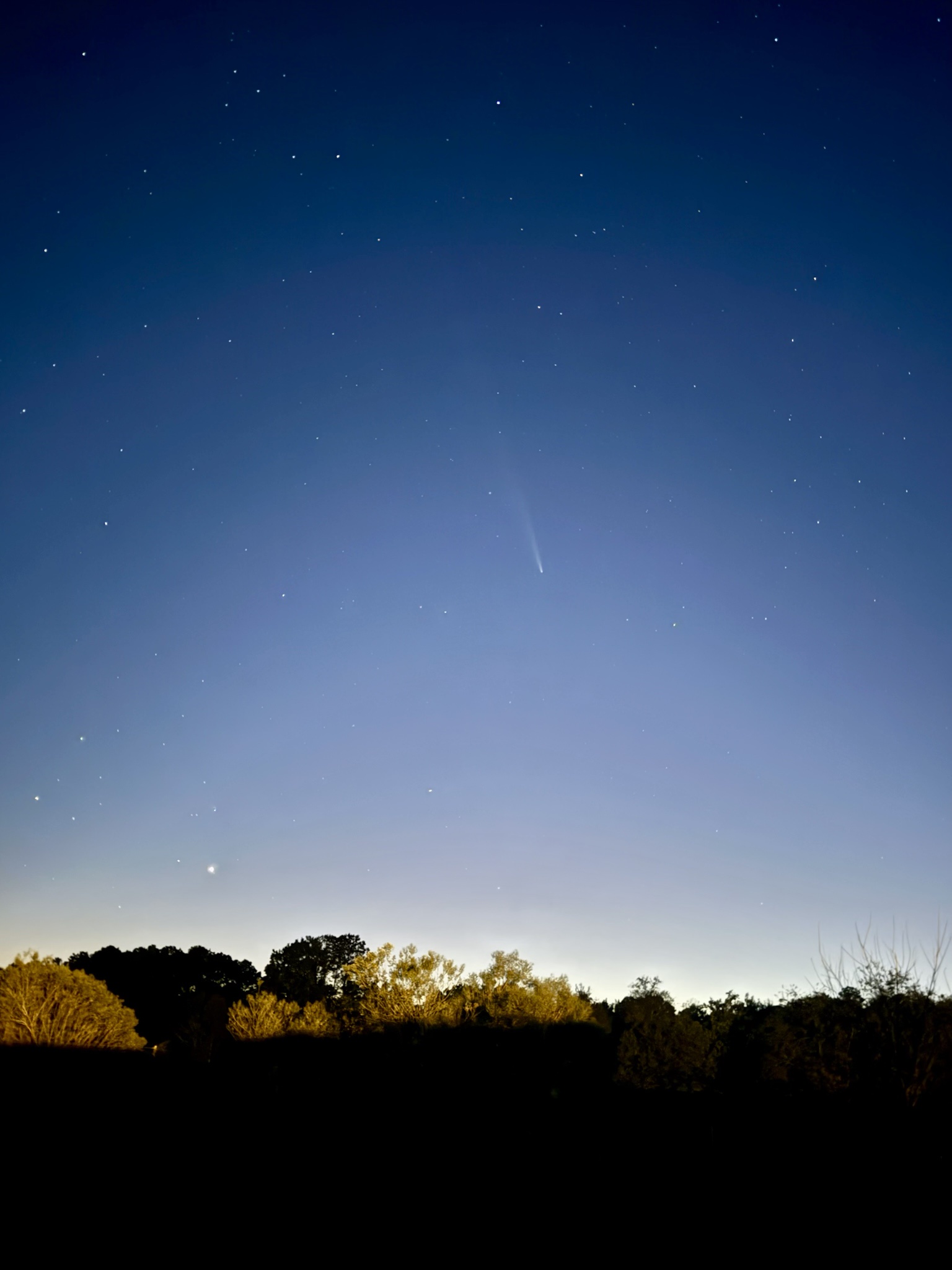 Captured a Stunning Image of the Comet!