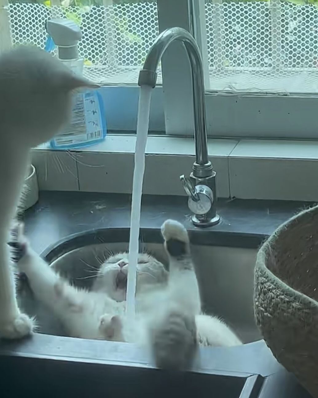 This bro is now totally relaxed in the bathtub