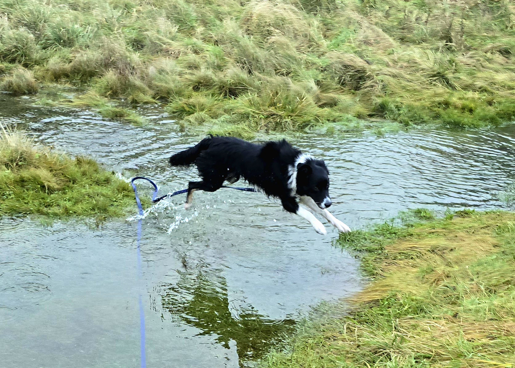 Her First Splash: A Surprising Water Play Adventure!