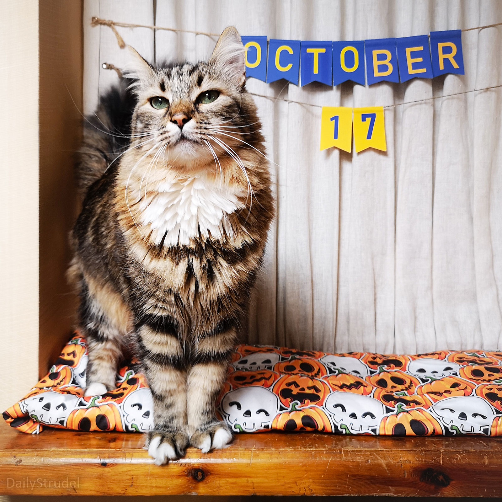 Mark Your Calendars: October 17 is Here!