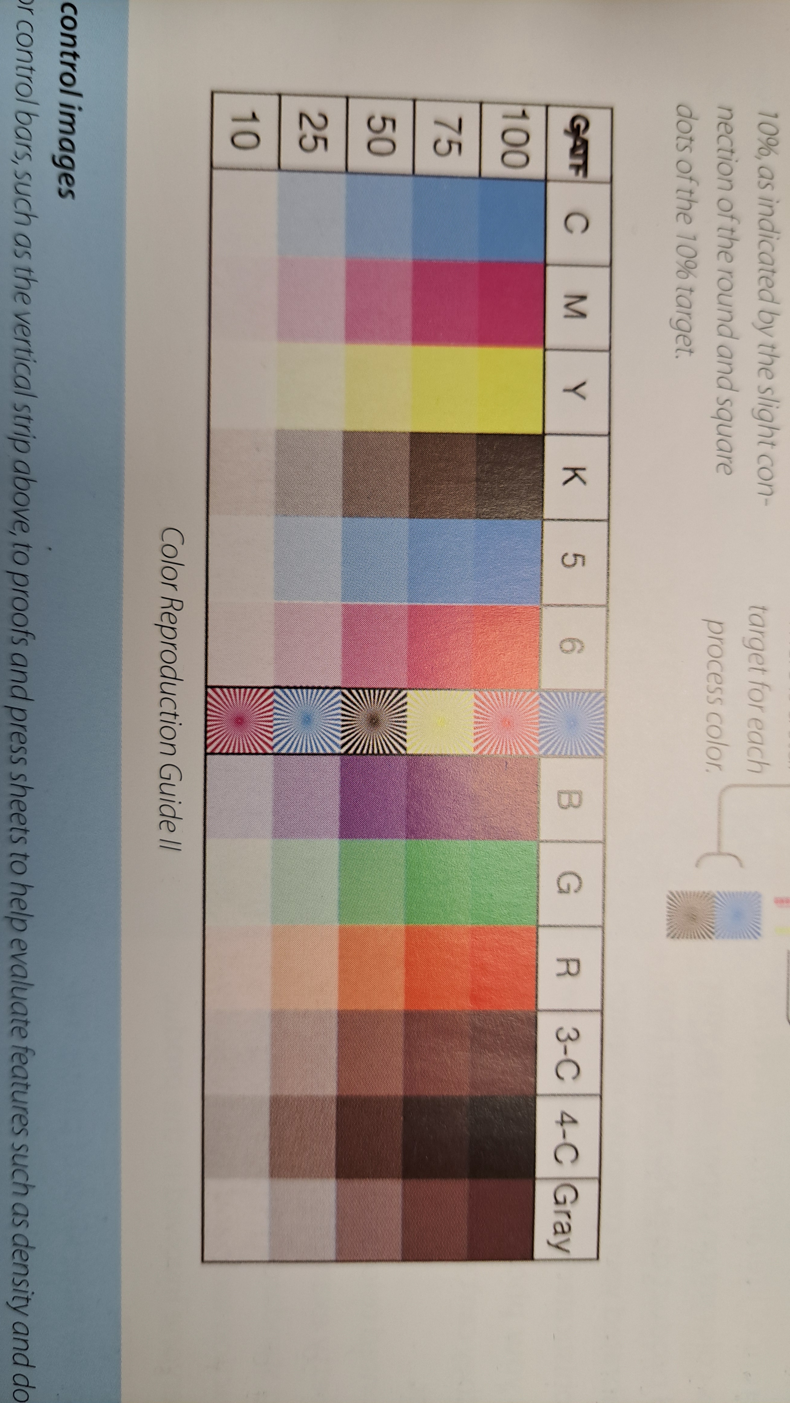 Color Theory: The Debate We All Have