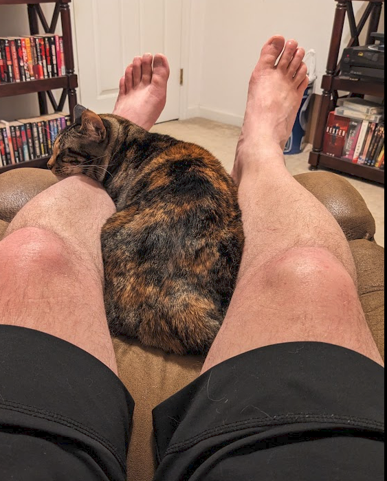 I really want to hit the hay, but she's so cozy and sweet that I can't bear to move her.