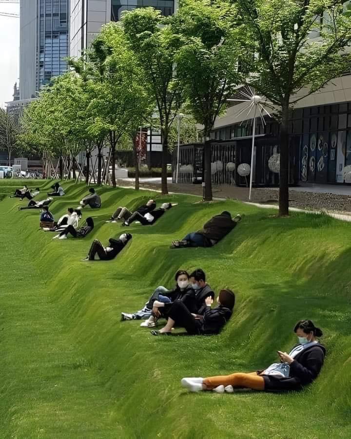 A Tranquil Tiered Lawn in Shanghai: The Perfect Lunch Break Retreat
