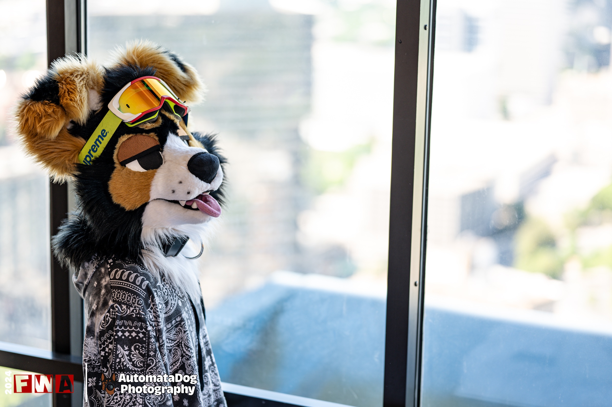 A daily glimpse from a furry photographer - Day 401!