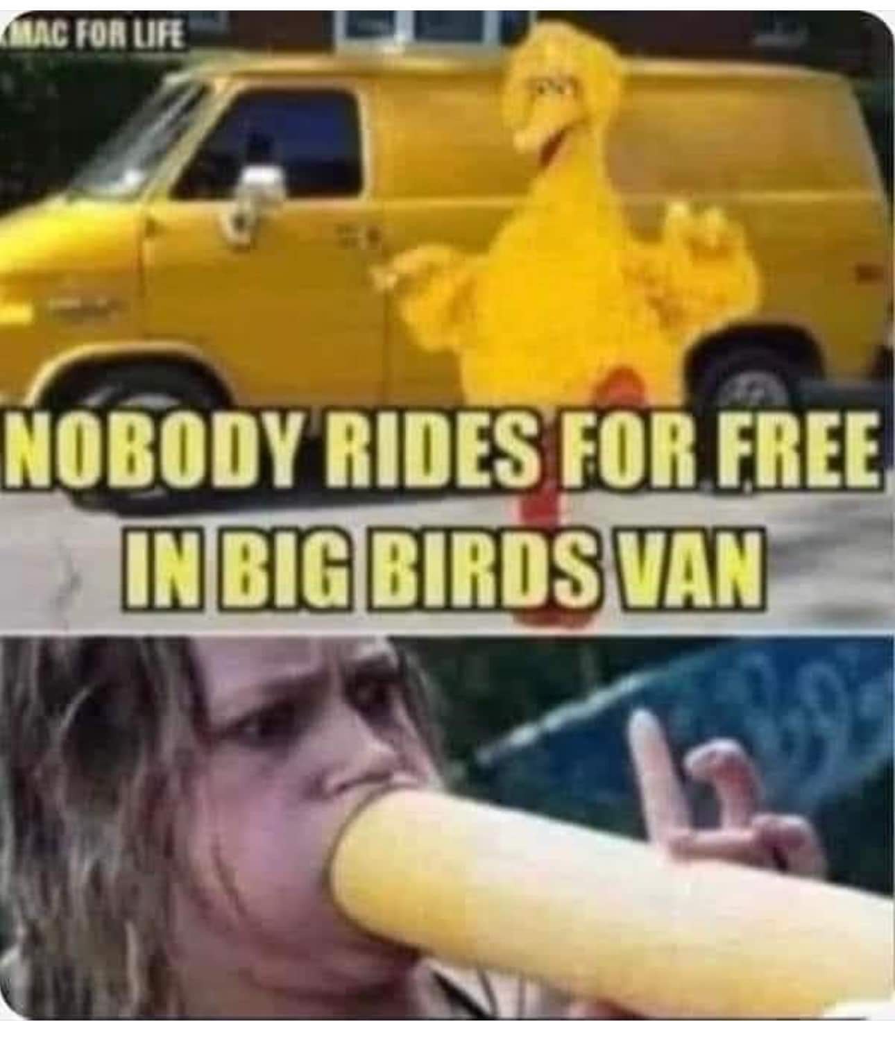 Wow, even Big Bird has that 'grass or gas' vibe!