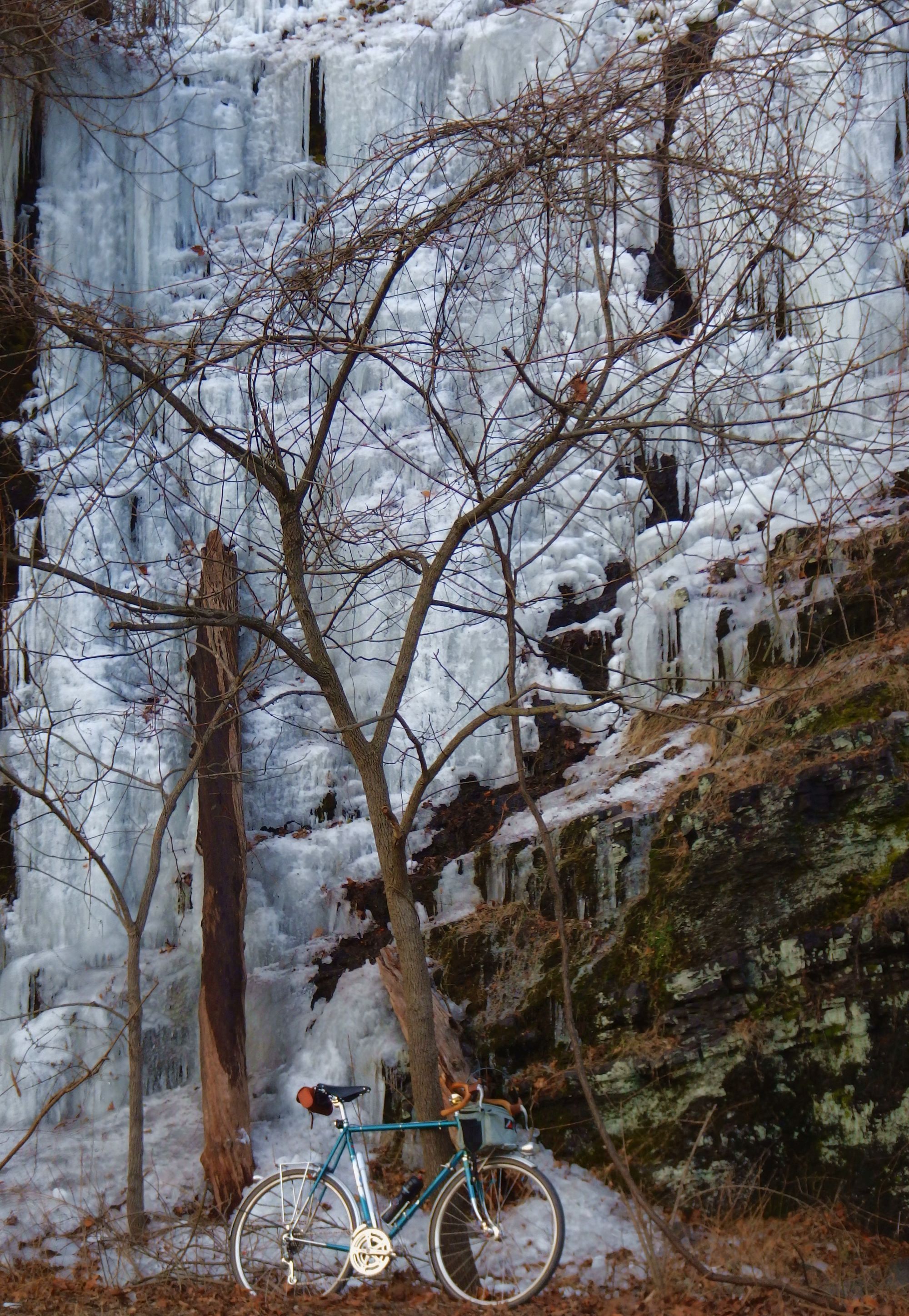 Embracing the Chill: Frosty Vibes