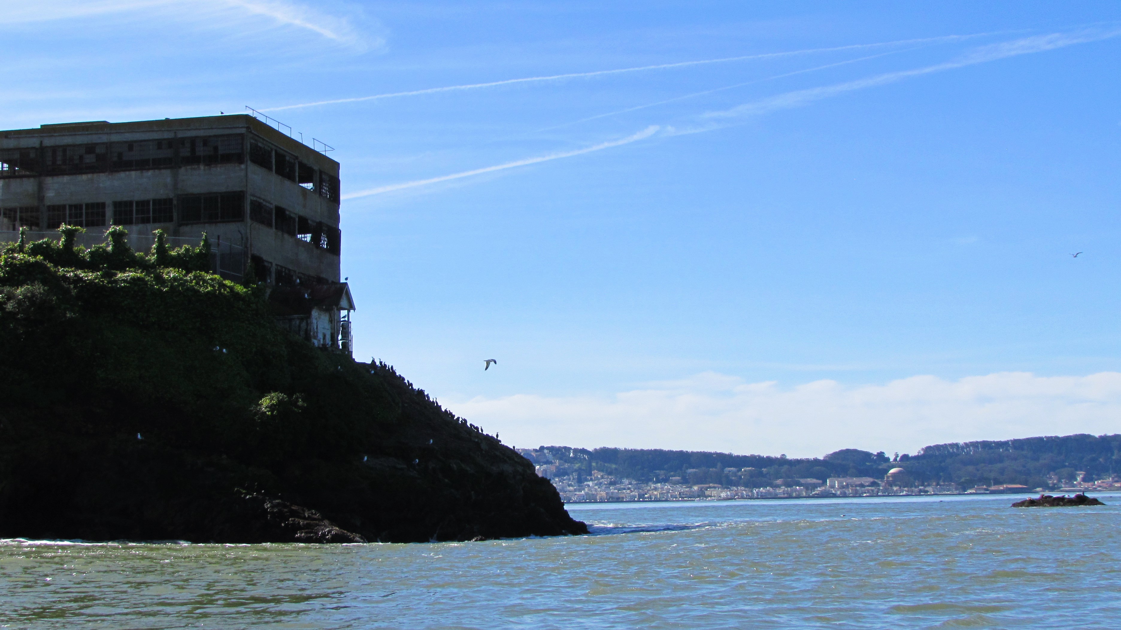 My Adventure on the Water Taxi: A Memorable Ride