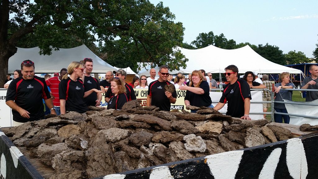 Did You Know? There's a Cow Poop Festival in Wisconsin!