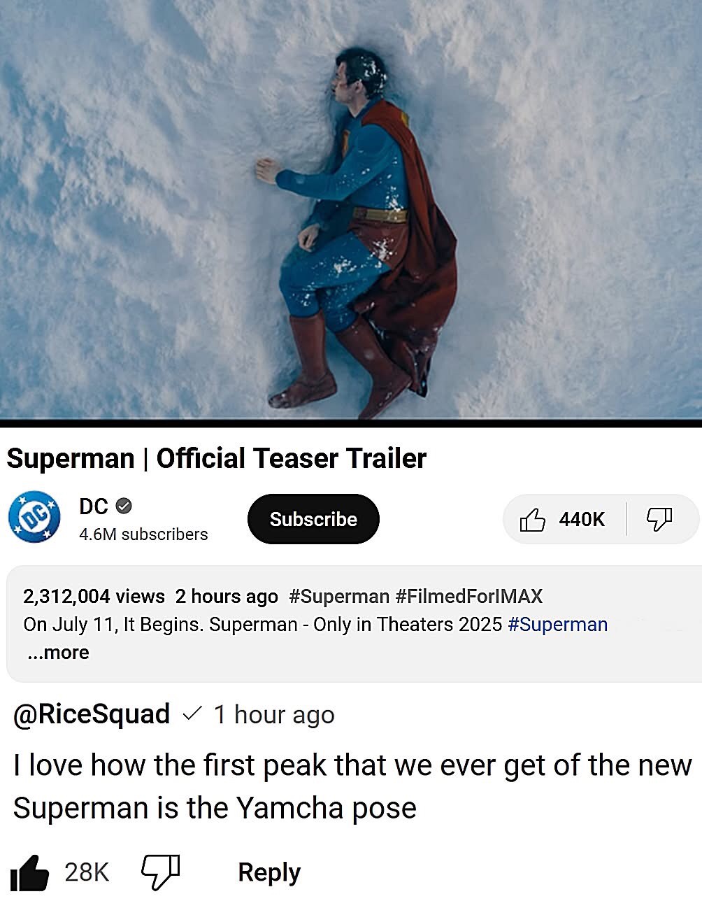 Is it a Bird? Is it a Plane? Nope, It's Something Else!