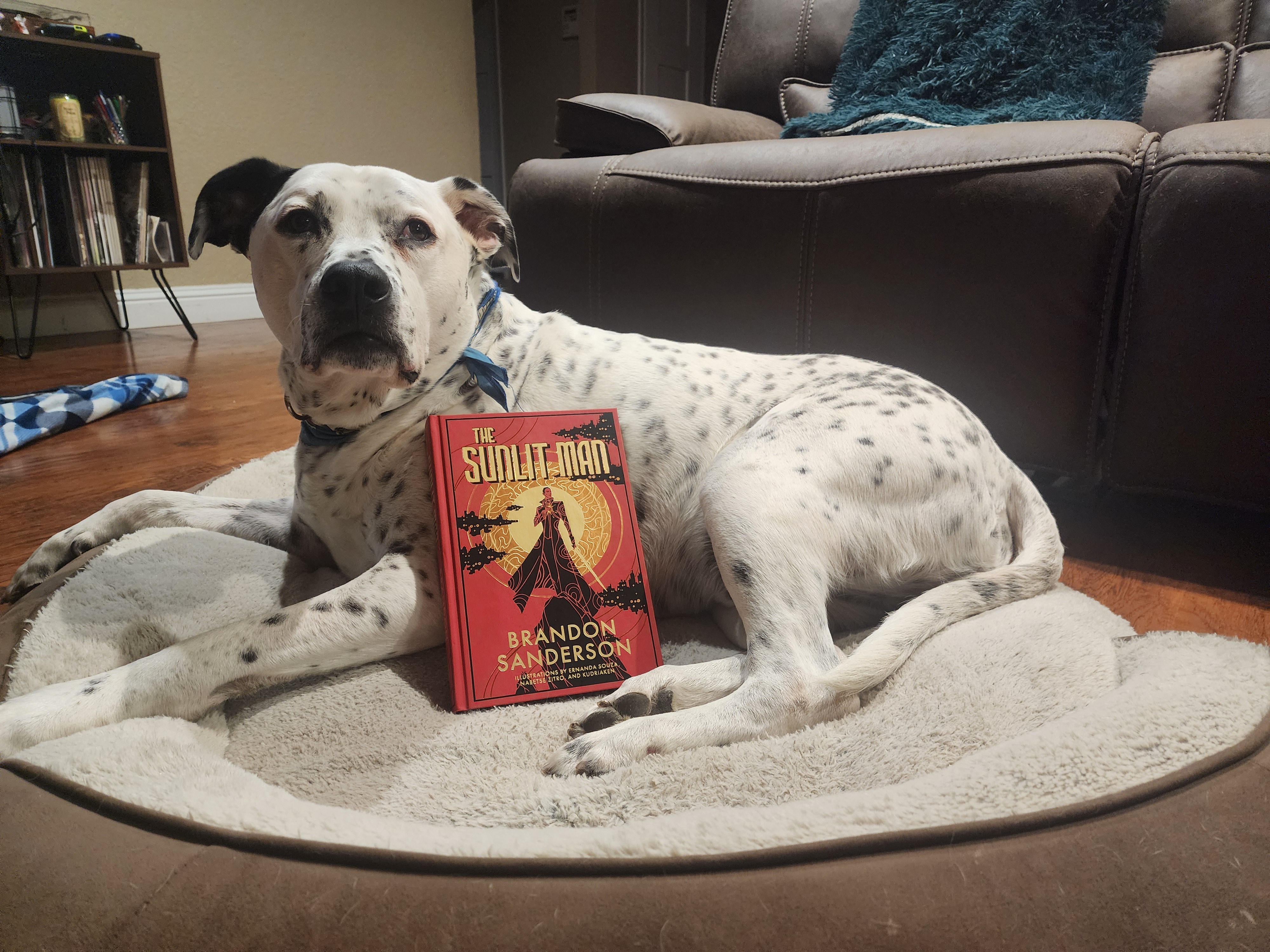 Thor has discovered his new favorite read!