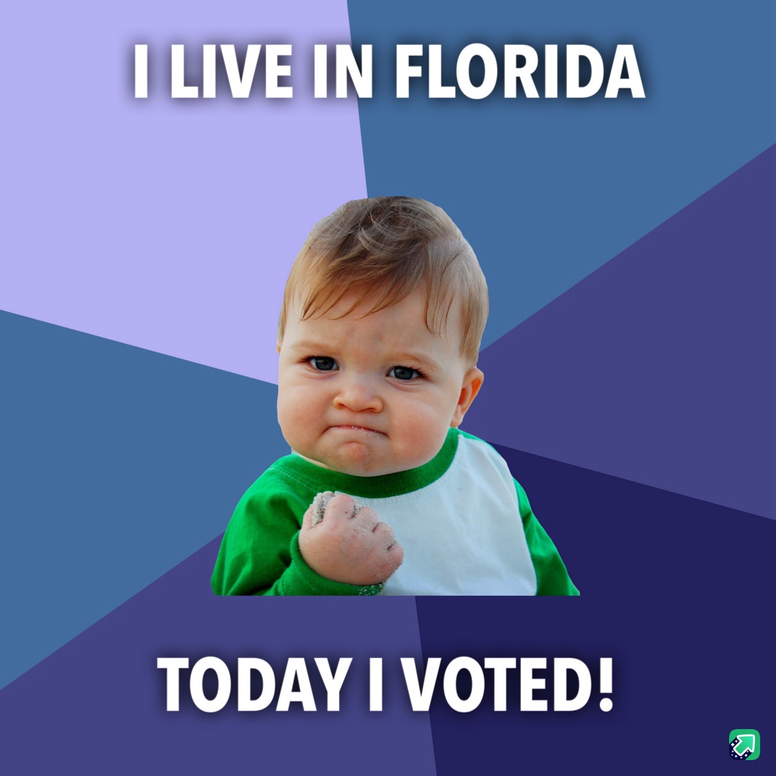 I fulfilled my civic duty today!