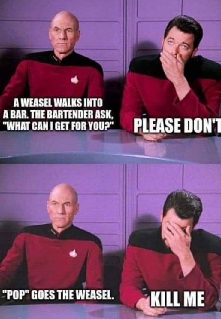 A pun from Picard that will make you groan!