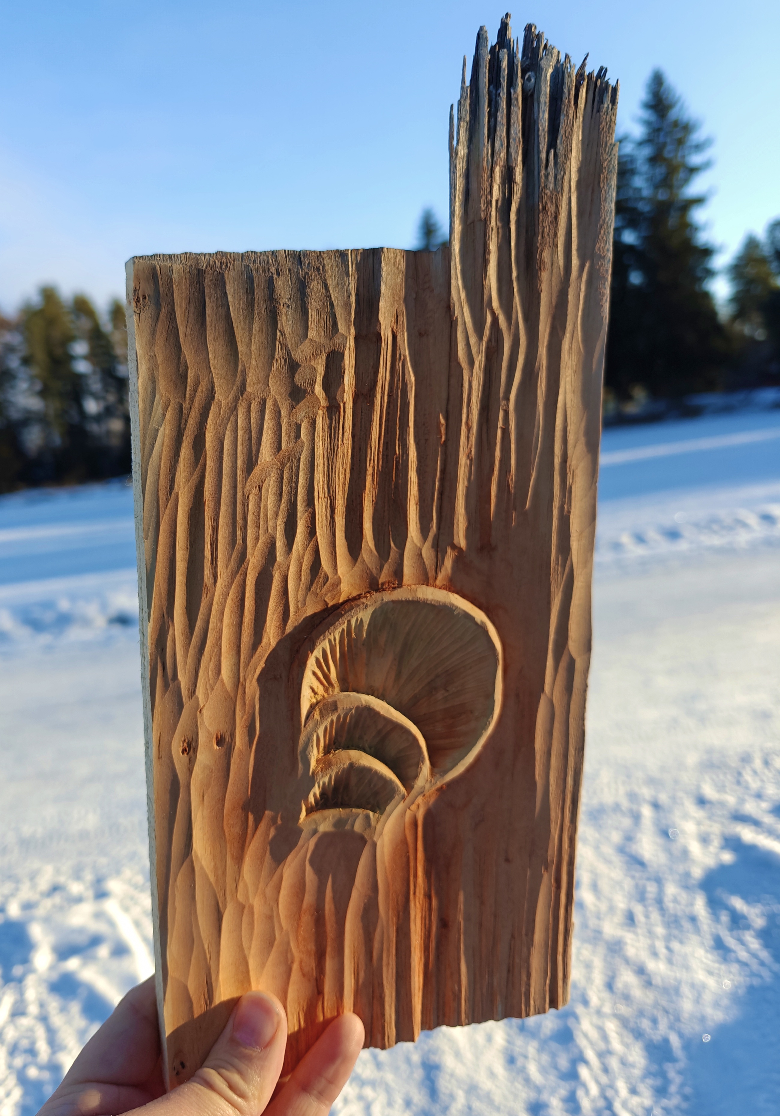 Wood Carving Featuring Fungi Pigment