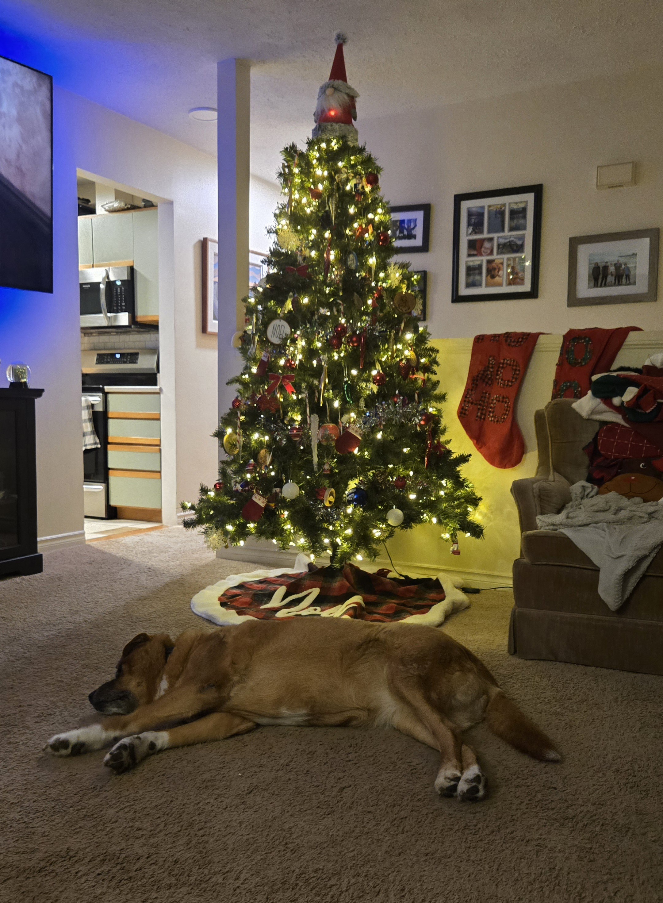 It's Starting to Feel a Lot Like Christmas