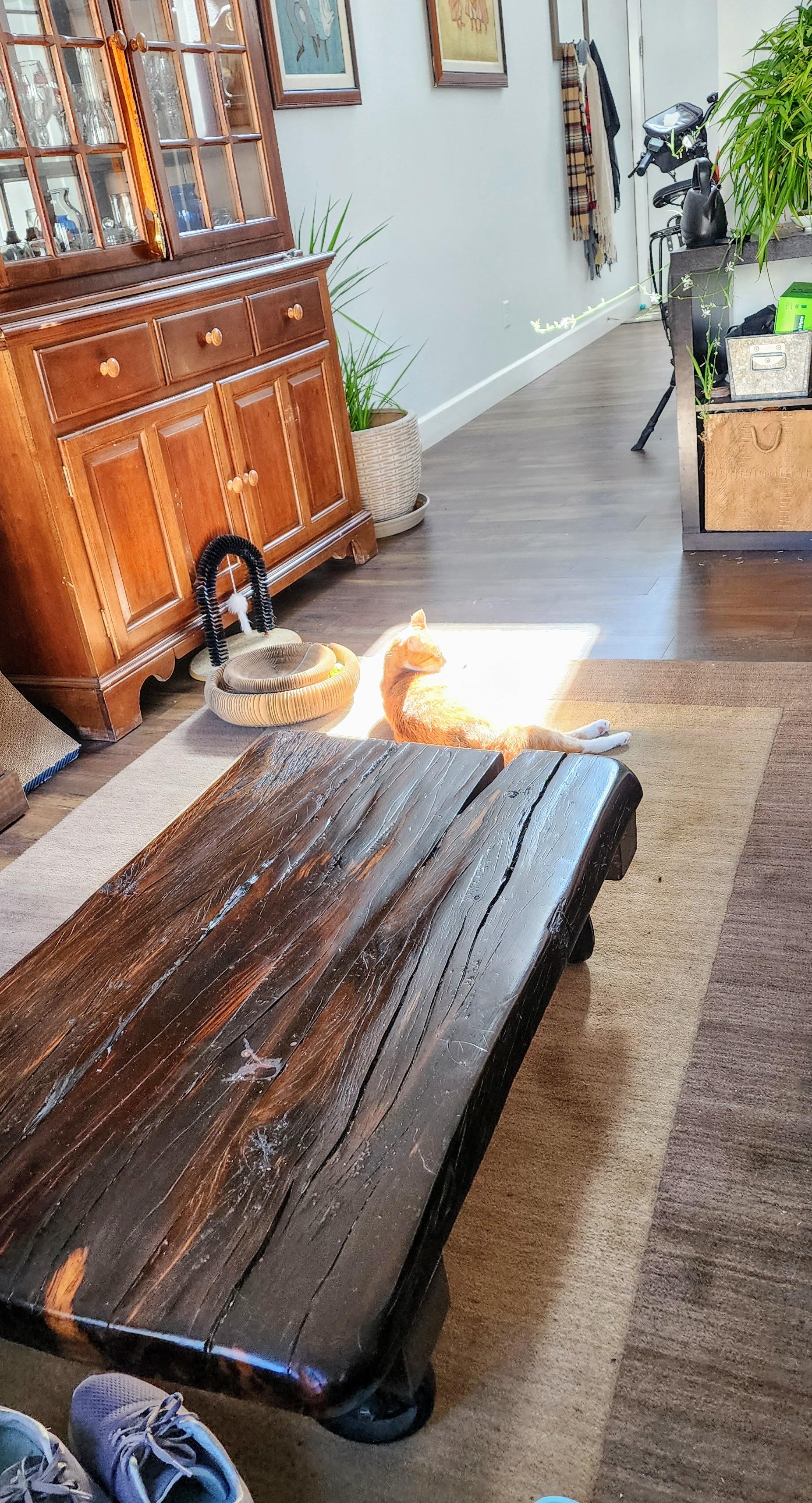 The Ideal Spot for Relaxation and Doing Absolutely Nothing
