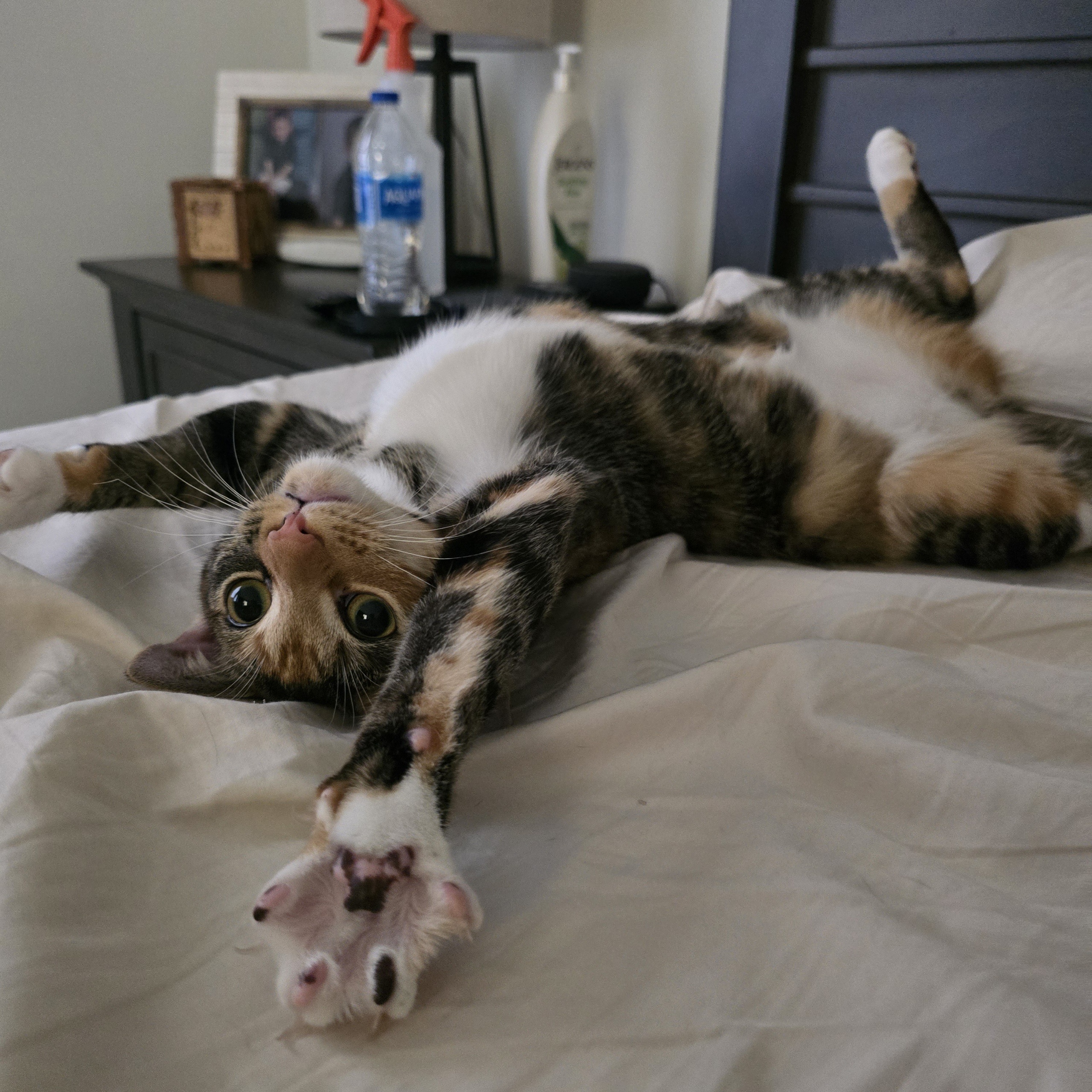 Epic Stretch Moment Captured!
