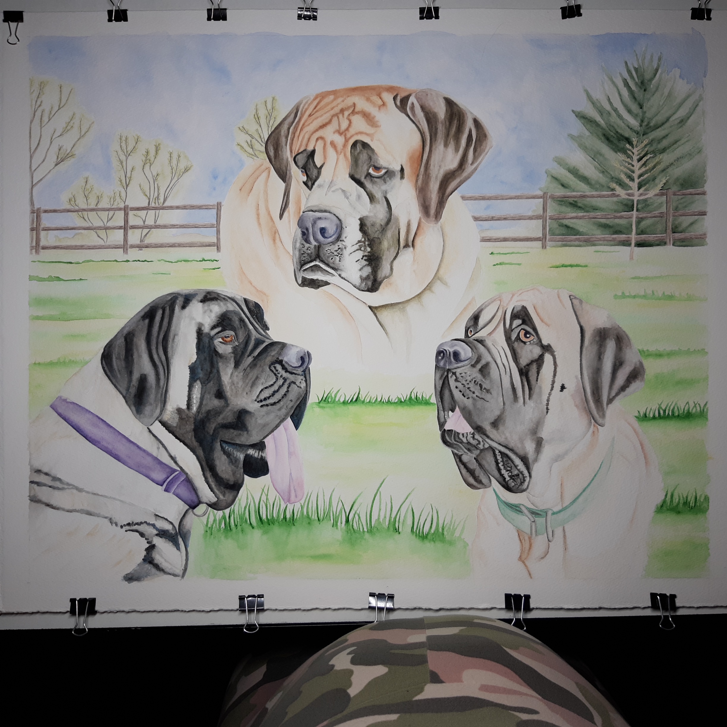 A Splash of Creativity: My Watercolor Masterpiece
