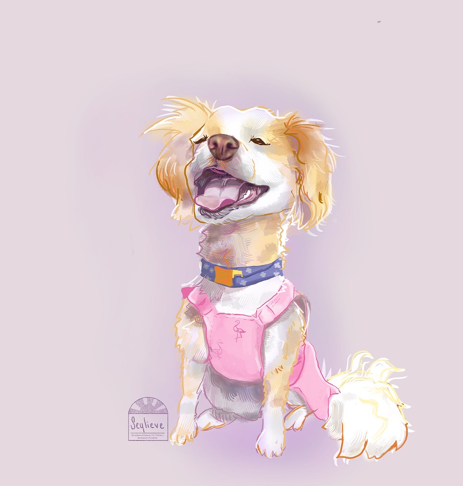 Capturing Pets and Bobblehead Portraits: A Fun Journey