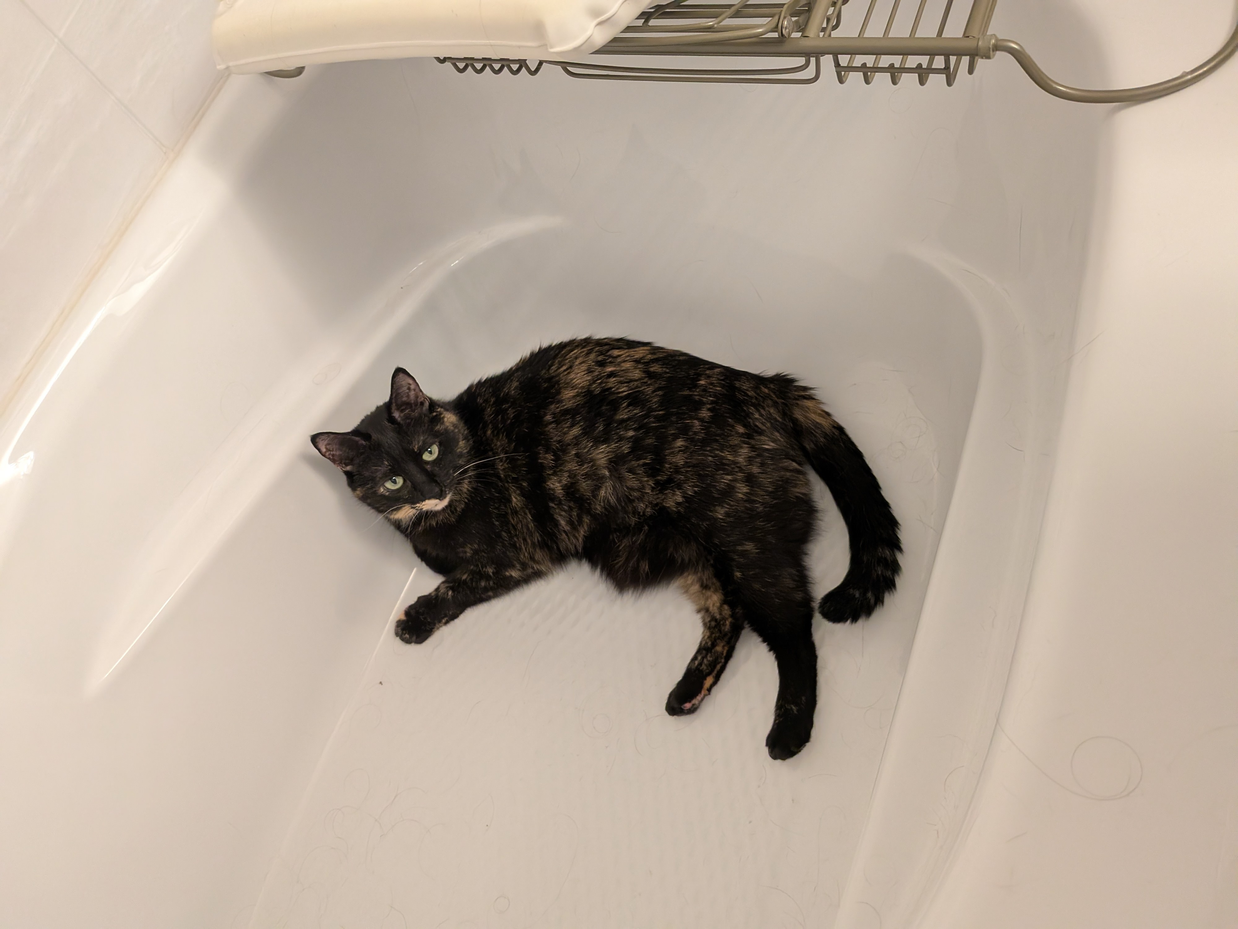 Tub Smudge: The Ultimate Relaxation Experience