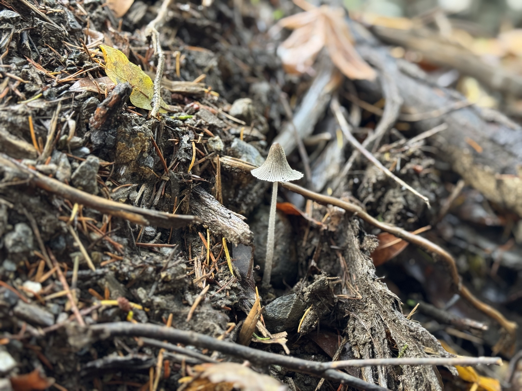 It's Muddy, Cold, and Did I Mention Muddy? Enjoy These Stunning Pics!