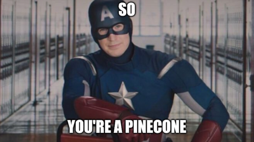 My Heart Belongs to Pinecones