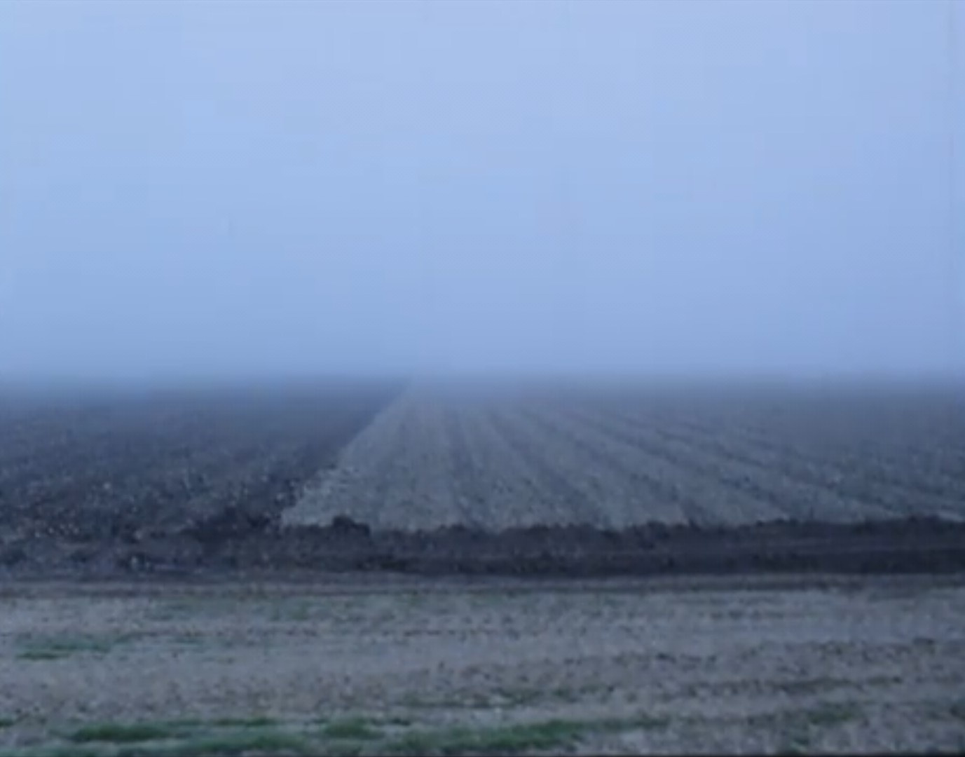 Plowing Through the Fog: A Metaphorical Journey