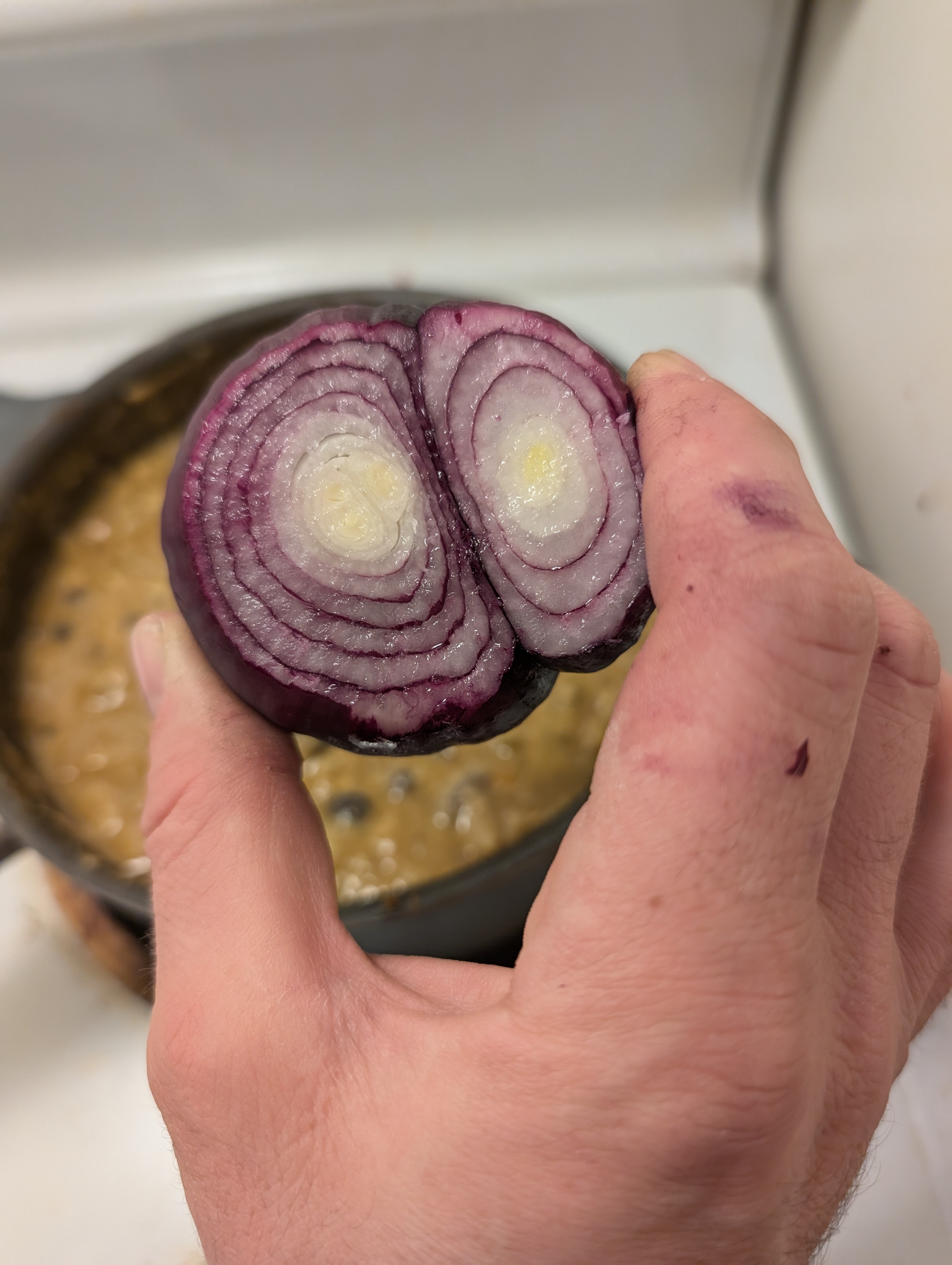 Introducing Tw onion: The Quirkiest New Sensation