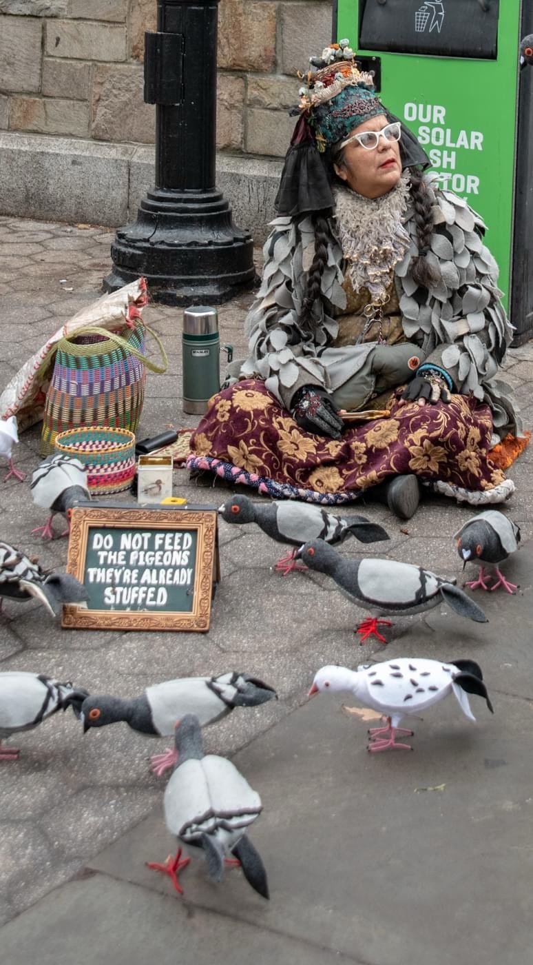 The Enigmatic Pigeon Lady: A City’s Mystery