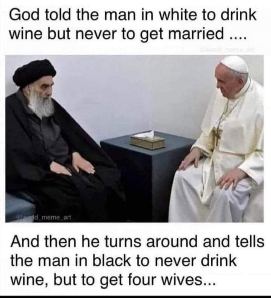 A delightful collection of memes to brighten your day