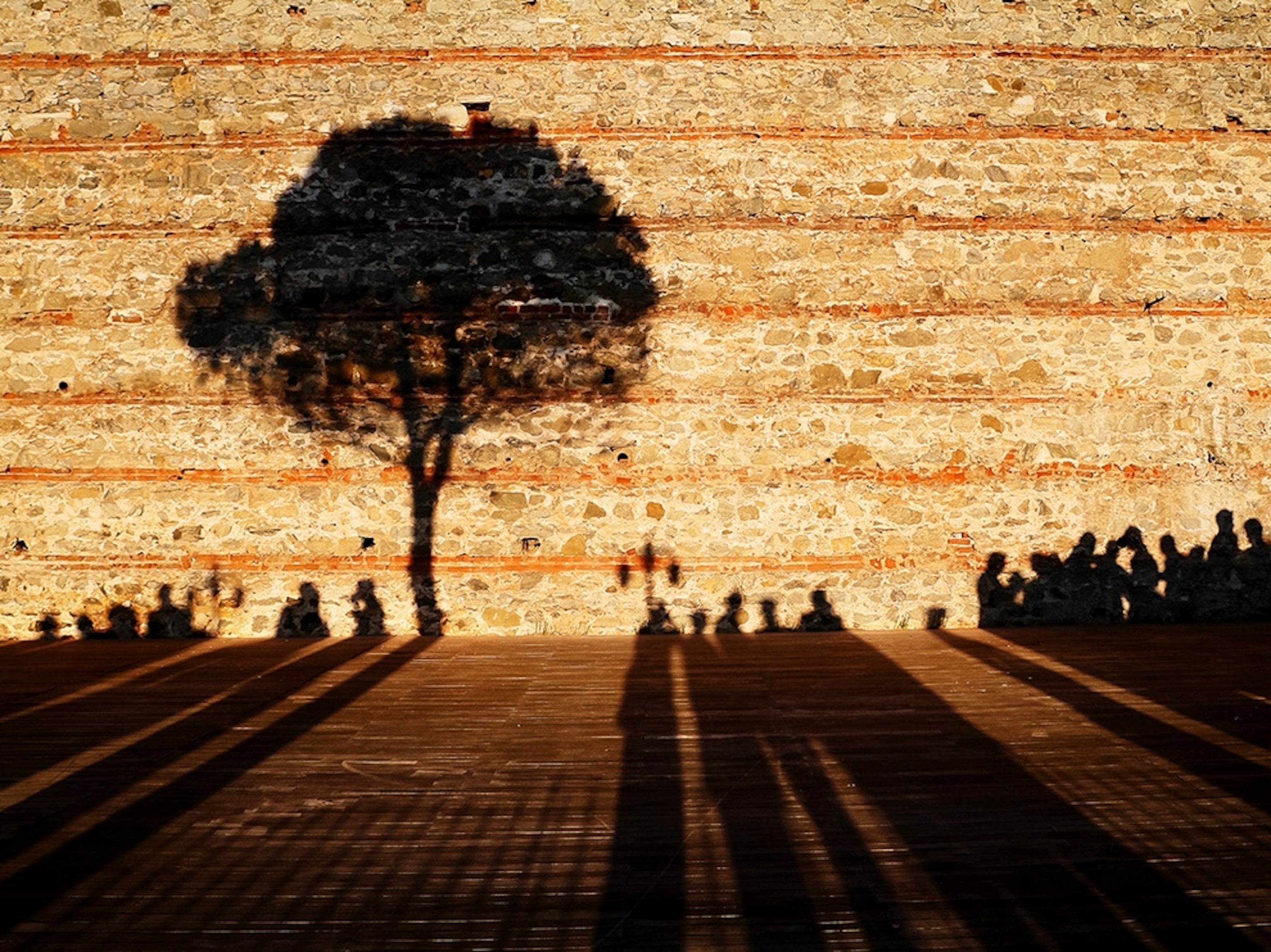 A Mysterious Meeting of Shadows