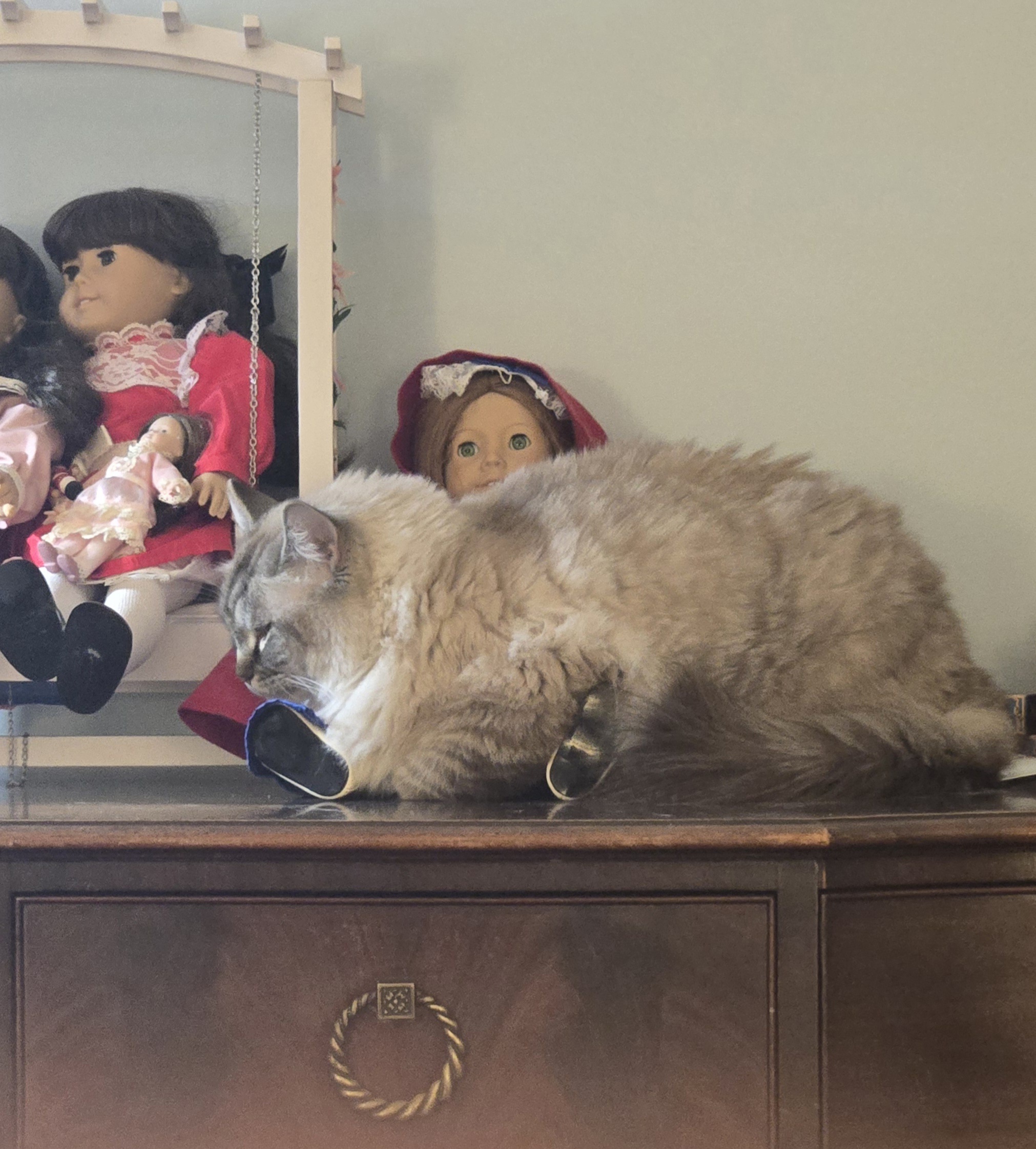 A young boy shares a special bond with his beloved doll